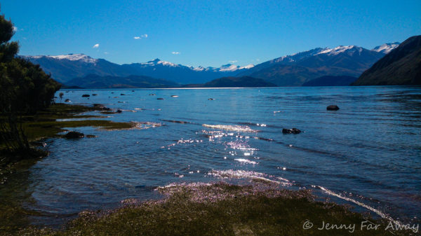 DSC_0085_2