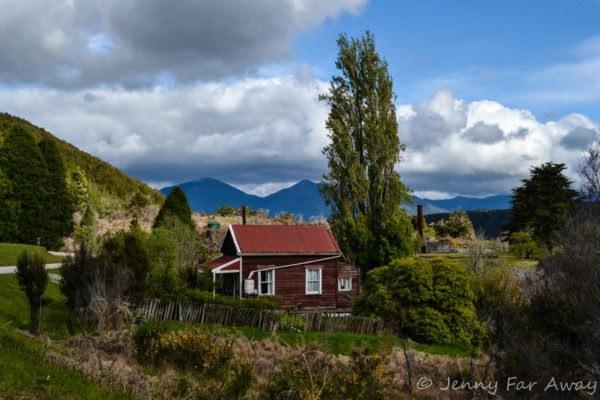 DSC_0647