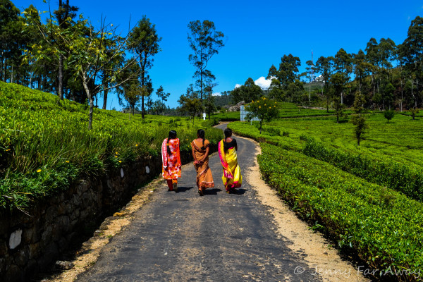 Lipton’s Seat, Sri Lanka