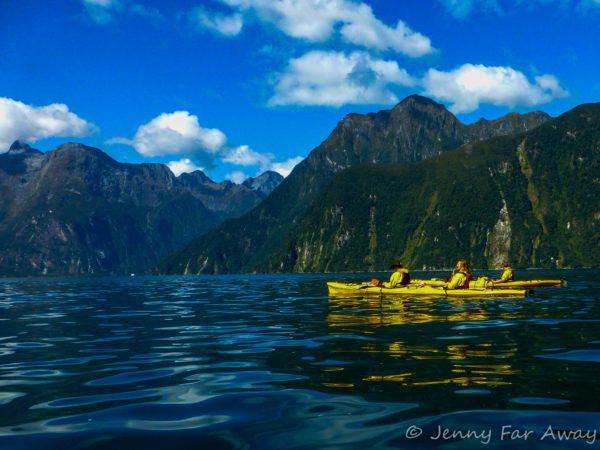 Kayaking Milford Sound