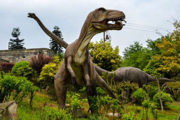 Dinosaurs in Zigong, China!