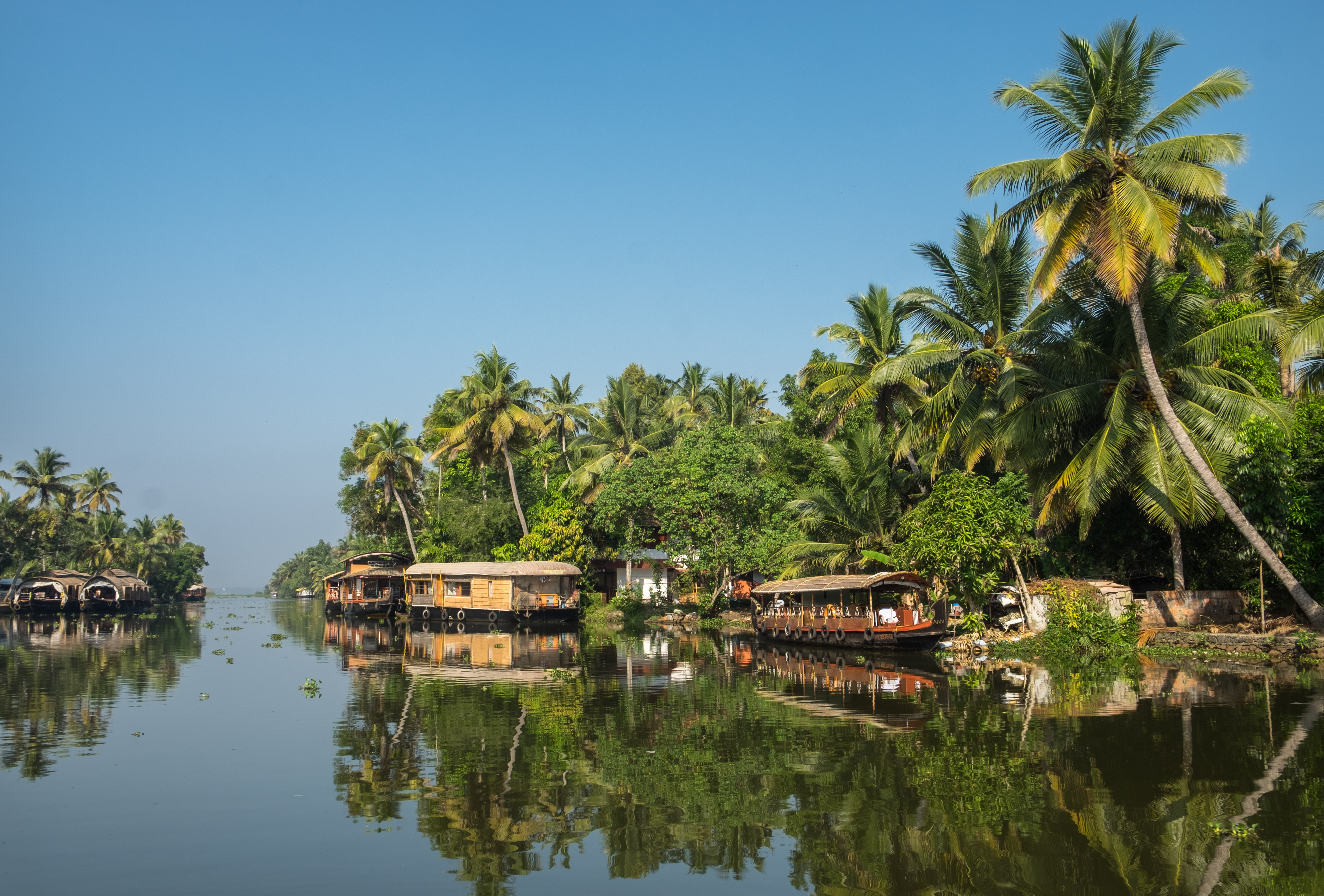 Houseboats on the backwaters of Kerala, India.