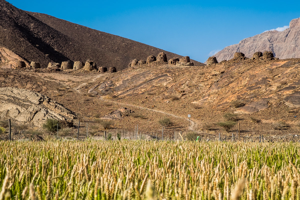 Al Ayn Beehive Tombs in Oman