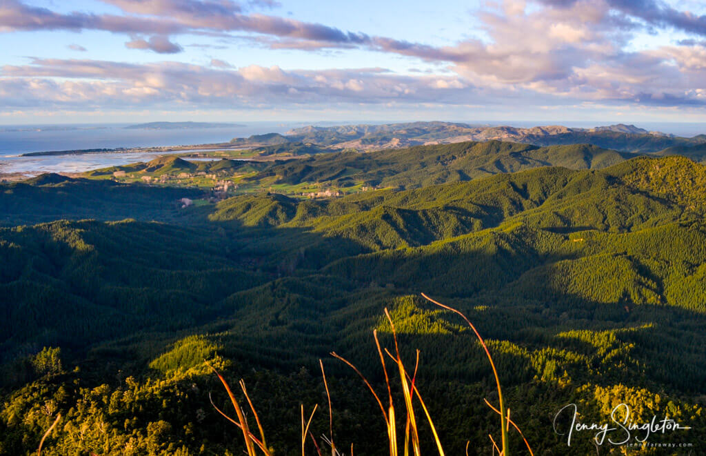 View from top of the Castle Rock Hike
