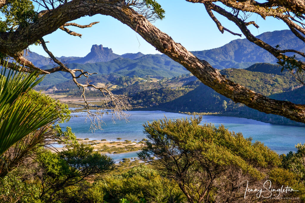 A view through the trees of Castle Rock, trees, and the bay from the top of the Opera Point Walk.