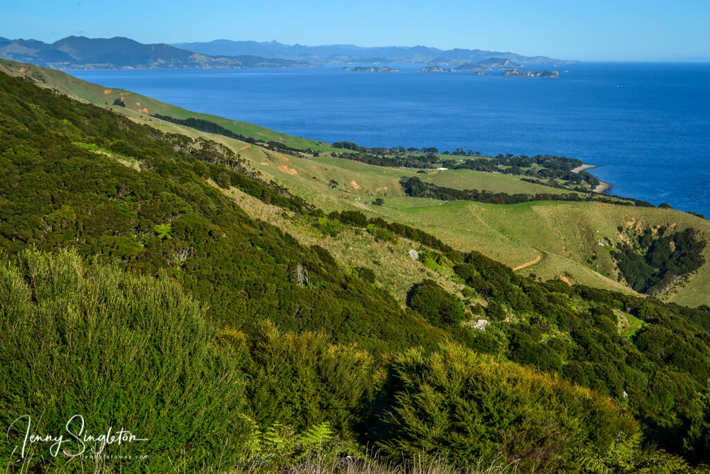 View of hills, trees, fields and coast from the top of the Fantail Bay track.