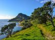 The view of trees, fields and coast just out of Fletcher Bay on the Coromandel Walkway, New Zealand.