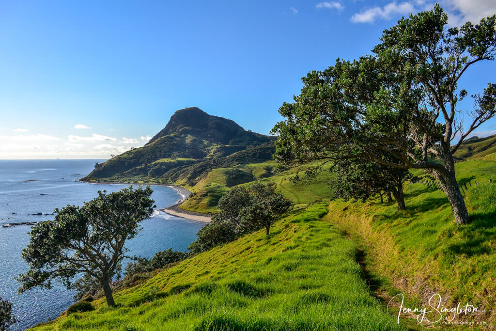 The view of trees, fields and coast just out of Fletcher Bay on the Coromandel Walkway, New Zealand.
