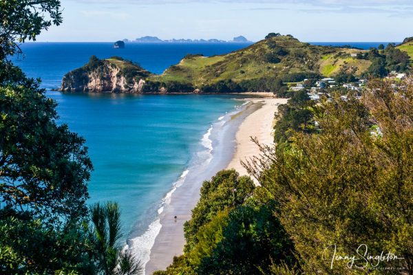View of Hahei Beach with the Pa site on the peninsula at the far end, seen from the road near Cathedral Cove parking lot.