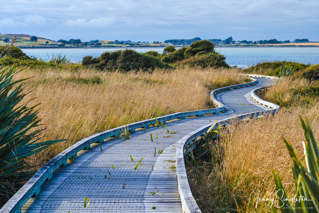A wooden boardwalk meandering through yellow grasses toward the ocean at Greenpoint Reserve.