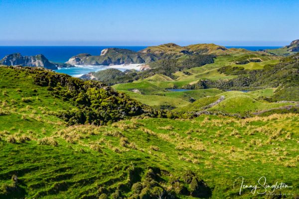 Farmland descends to the white sands of Wharariki Beach on the Green Hills Track.