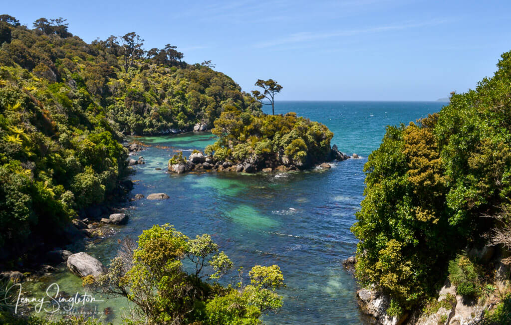 A small island sits in the blue-green waters of a little bay on the Horseshoe Point Track.