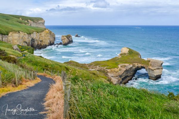 The path going down to Tunnel Beach with the sea arch and cliffs showing off their beauty.