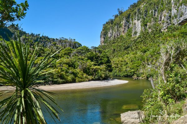 Pororari River near Punakaiki, Paparoa National Park, West Coast, New Zealand. Trees and a large cliff border the green Pororari River.