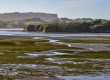 Whanganui Inlet at low tide, showing its seaweed and deeper channels trailing through the mud flats.