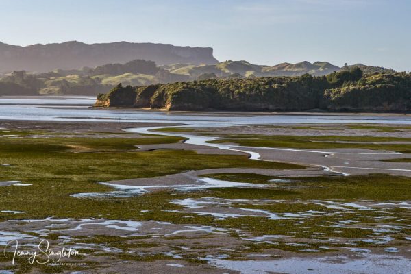 Whanganui Inlet at low tide, showing its seaweed and deeper channels trailing through the mud flats.