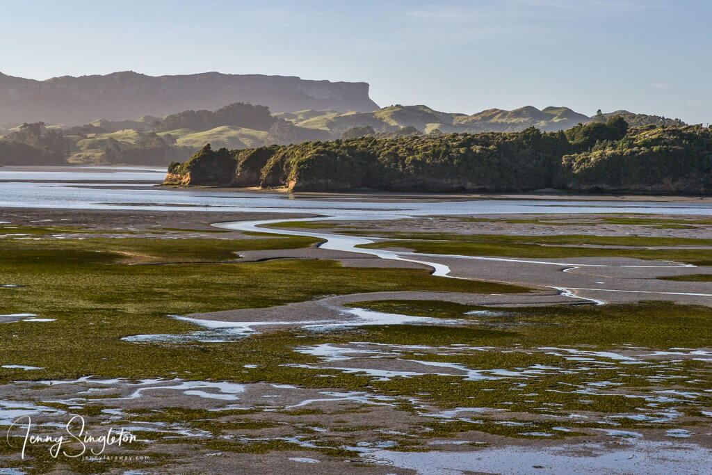 Whanganui Inlet at low tide, showing its seaweed and deeper channels trailing through the mud flats.