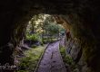 The railway exits a tunnel on the Charming Creek Walkway.