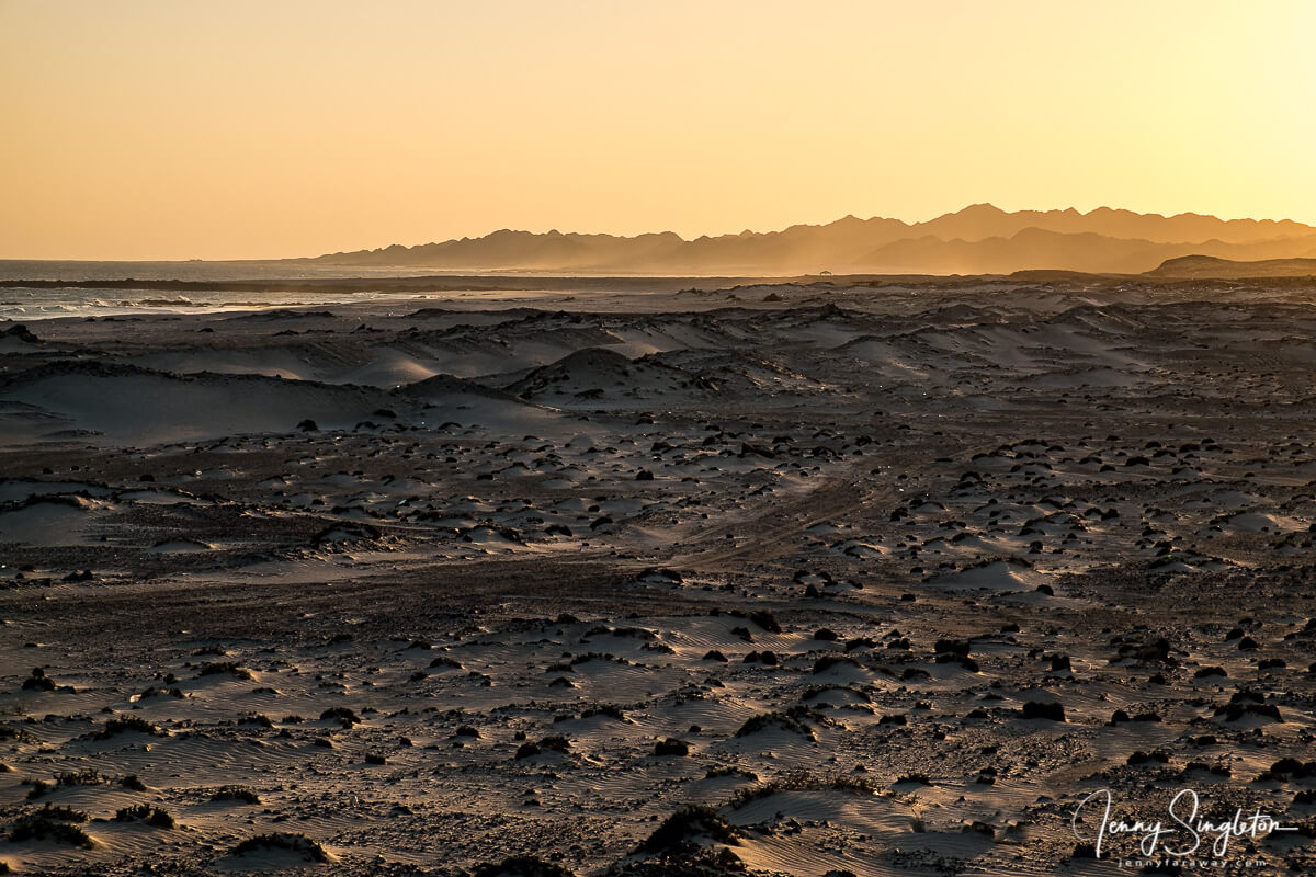 Golden light filters through sea spray and sand dunes on Masirah Island, Oman